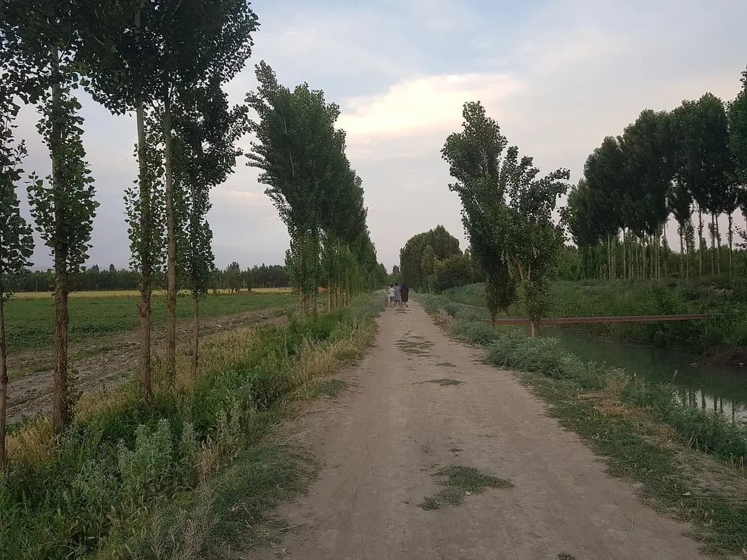 Marhamat: Mingtepa and the ancient capital of Dayuan
