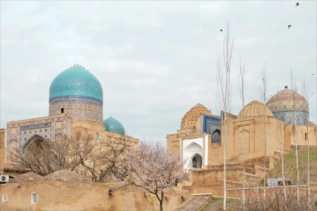 Kazy and Khasip: The Sausages of Uzbek Cuisine