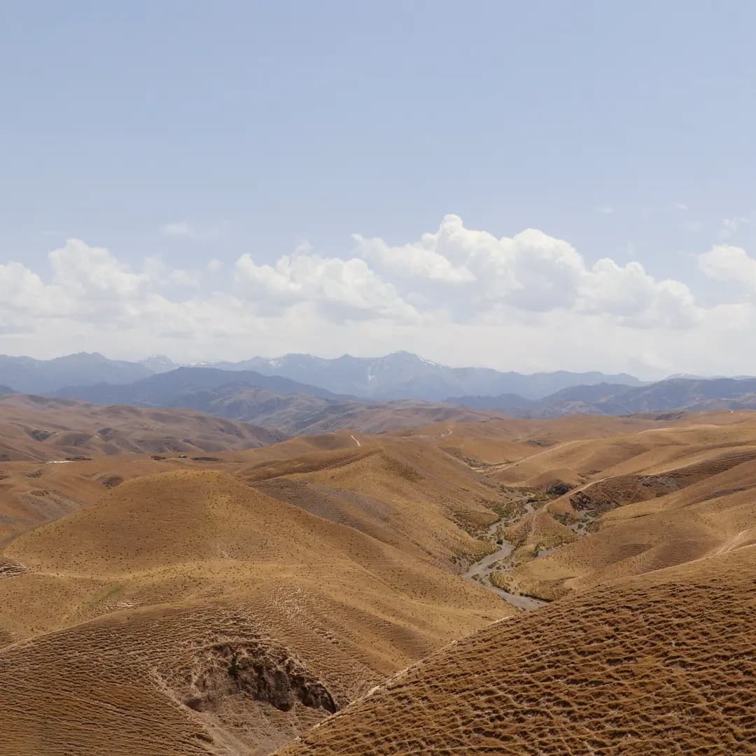Zaamin National Park: Trails, Juniper Forests and Yurts