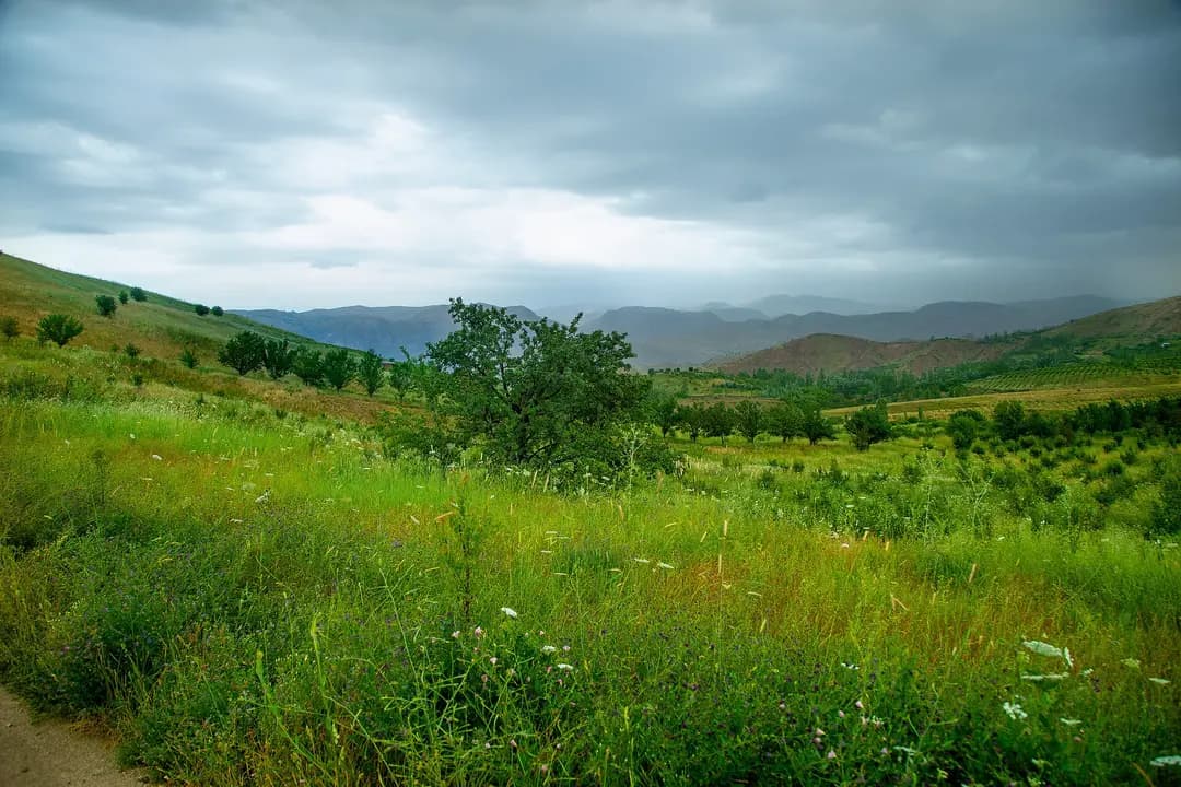 The Hissar Reserve: The Highest Mountains of Uzbekistan